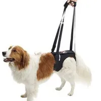 Rehab Lifting Harness for Hind Legs M KRUUSE