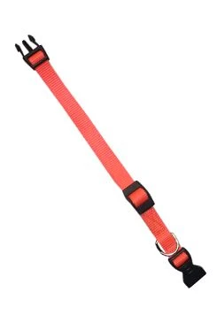 Obojek nylon CLUB C 44cmx 15 mm oranžový Počet 1ks