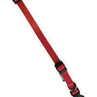 Nylon collar CLUB C 56cm x 20mm red FP Počet 1ks