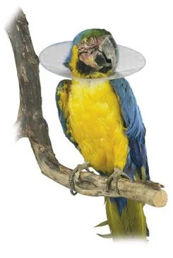Límec ochranný plastový Bird Collar pro ptáky Rozměr 14cm