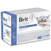 Cat Pouch Fillets in Gravy Recovery 12x85g