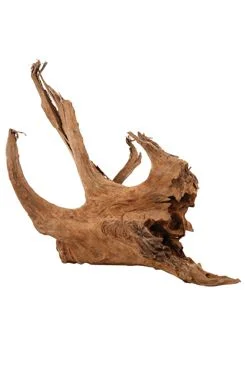 Raíz de manglar para acuario/terrario L 40 Rozměr 60cm
