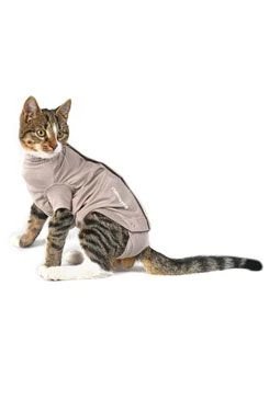 BUSTER Body Suit Step'n Go Cats 2XS Beige