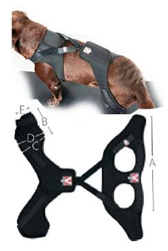 Vendaje Rehab Pro para rodilla de perro KRUUSE L izquierdo