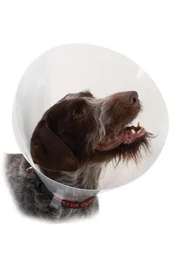 Límec ochranný BUSTER plastový Classic Collar Rozměr 35cm
