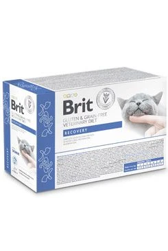 Cat Pouch Fillets in Gravy Recovery 12x85g