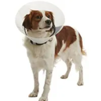 Límec ochranný BUSTER plastový Clic Collar Rozměr 25cm