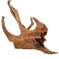 Raíz de manglar para acuario/terrario L 40 Rozměr 60cm