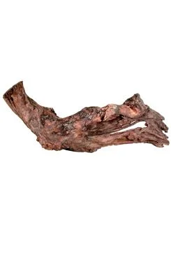 Raíz de Mangle para acuario y terrario S 15 Rozměr 25cm