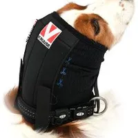 Vendaje para orejas y cabeza de perro BUSTER L