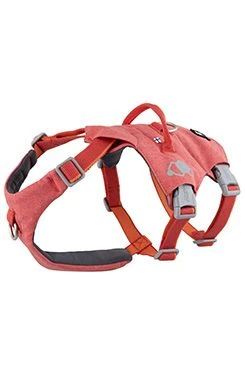 Safeguard ECO Harness Strawberry 40 50