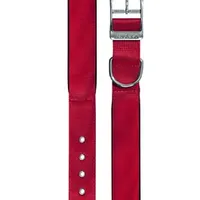 Collar de nylon DAYTONA C 35cm x 15mm rojo FP Počet 1ks
