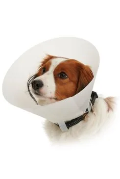 Límec ochranný BUSTER neprůhledný Classic Collar Rozměr 15cm