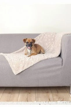COSY Dog Blanket Beige Plush 150x100cm TR