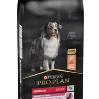 Dog Medium SensitiveSkin Salmon Gramáž 3kg, Stáří Adult
