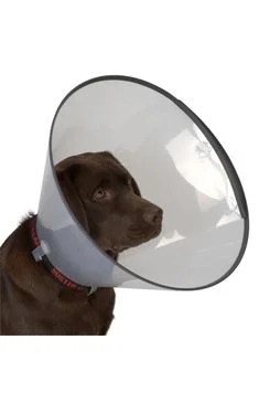 Límec ochranný BUSTER plastový Comfort Collar Rozměr 10cm