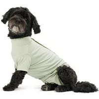 BUSTER Body Suit Step'n Go Dog L Green Recovery Suit
