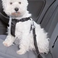 Arnés de seguridad para perro para coche XS 20 TR Rozměr 15mm