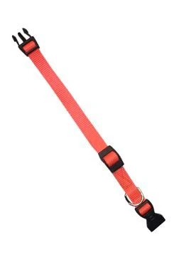 Collar de nylon CLUB C 32cm x 10mm naranja FP Počet 1ks
