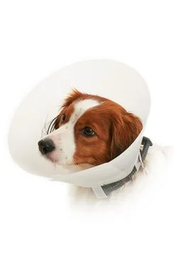Límec ochranný BUSTER neprůhledný Classic Collar Rozměr 25cm