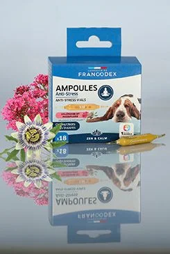 Anti stress ampulky pes štěně 18x1ml