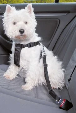 Arnés de seguridad para perro para coche XS 20 TR Rozměr 15mm