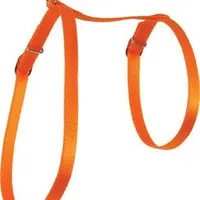 Cat harness nylon orange Rozměr 10mm