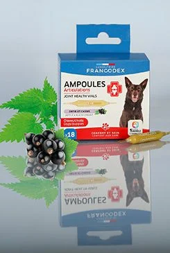 Joint Health ampollas perro cachorro 18x1ml