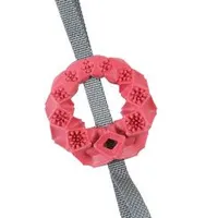 Juguete para perro 4SEASONS OUTDOOR TRP Anillo terracota
