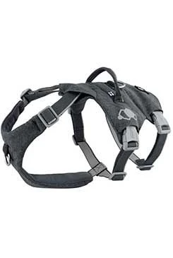 Safeguard ECO Harness Blackberry 65-80