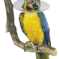 Límec ochranný plastový Bird Collar pro ptáky Rozměr 14cm