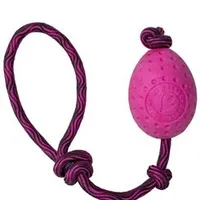 Juguete perro EGG MAXI flotante de TPR rosa Kiwi