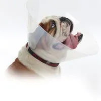 Collar protector BUSTER de plástico E-Collar Brachy talla L