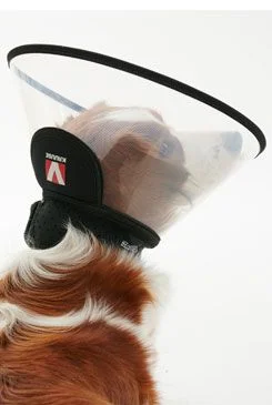 Límec ochranný BUSTER plastový Complete Collar Rozměr 12,5cm
