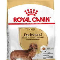 Royal Canin Breed Jezevčík Gramáž 7,5kg