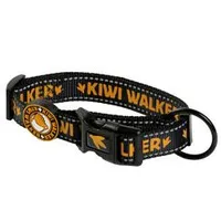 Nylon Collar 42-55 Orange Kiwi Rozměr 2,5cm