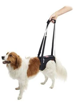 Rehab Lifting Harness for Hind Legs XL KRUUSE